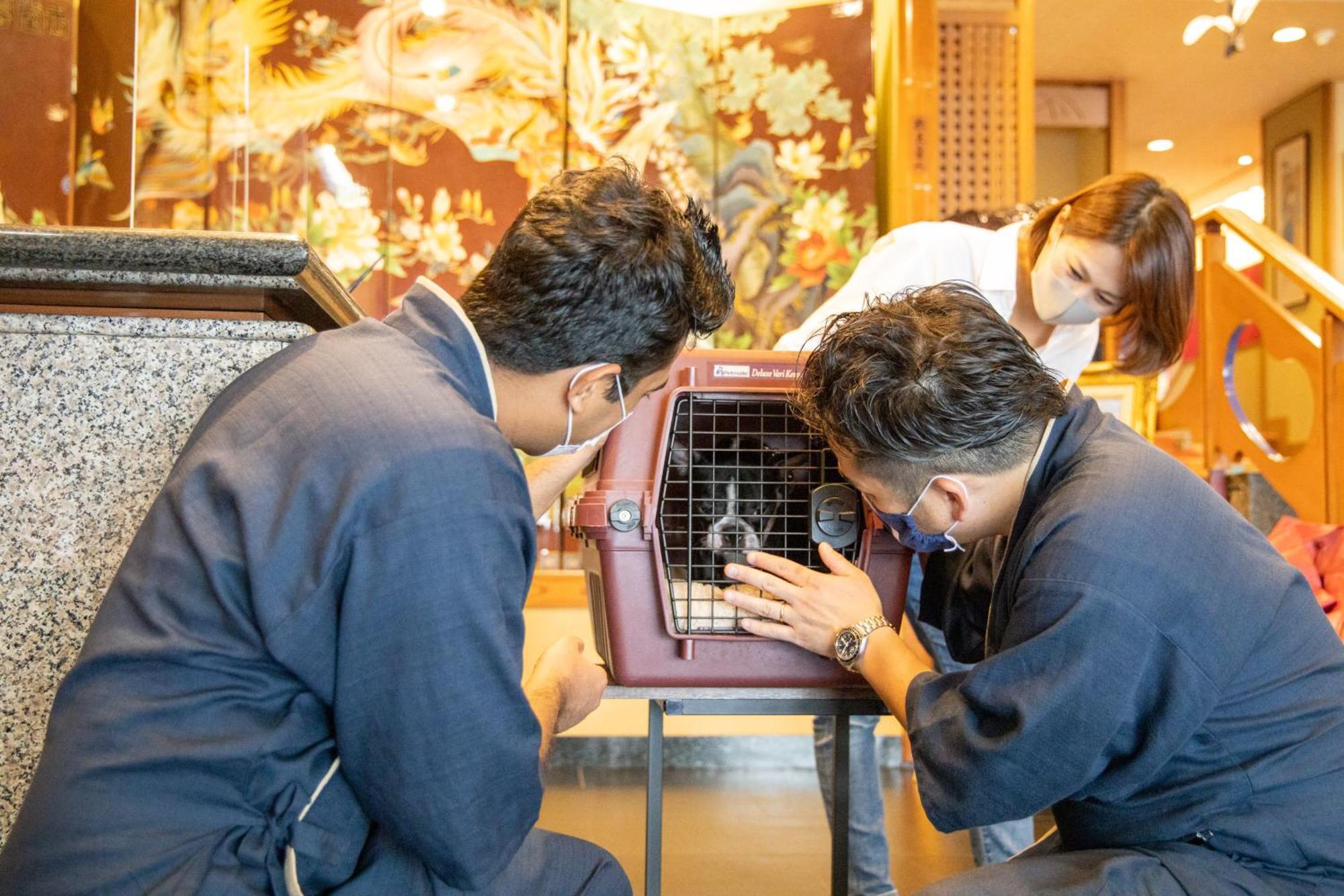 Komatsuya Hachinobou Izunokuni Extérieur photo